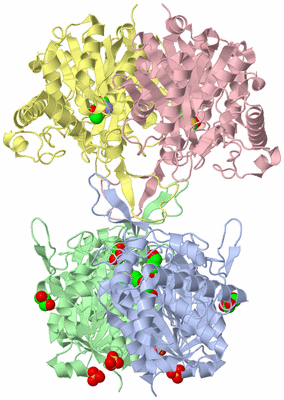 Image Asym./Biol. Unit