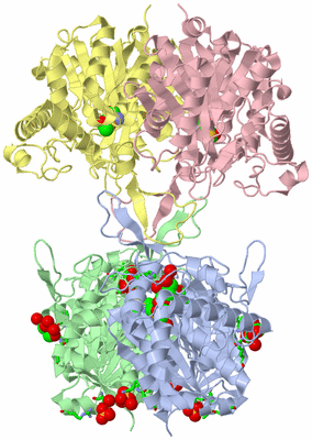 Image Asym./Biol. Unit - sites