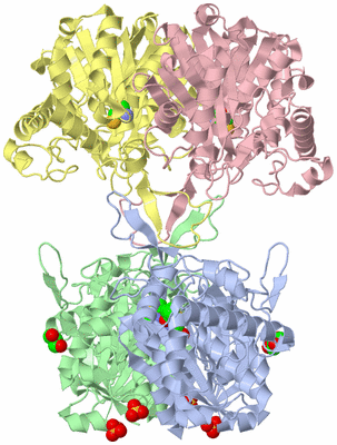 Image Asym./Biol. Unit