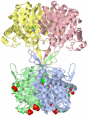 Image Asym./Biol. Unit - sites