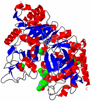 Image Asym./Biol. Unit