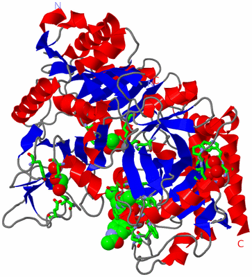 Image Asym./Biol. Unit - sites