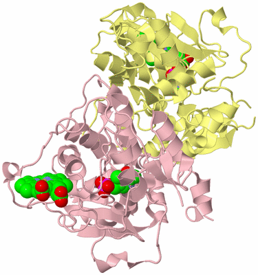 Image Biological Unit 2