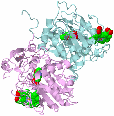 Image Biological Unit 3