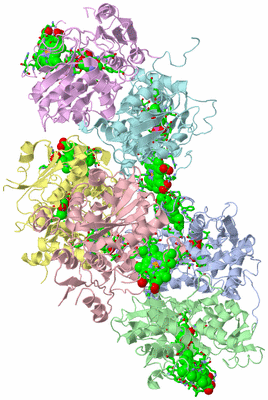 Image Asym. Unit - sites