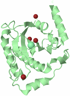 Image Biological Unit 2