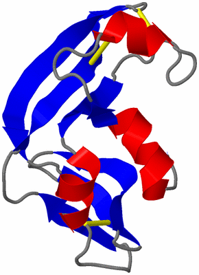 Image NMR Structure - model 1