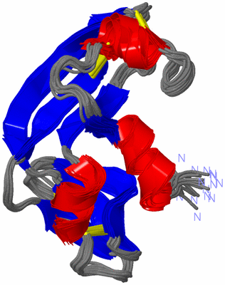 Image NMR Structure - all models
