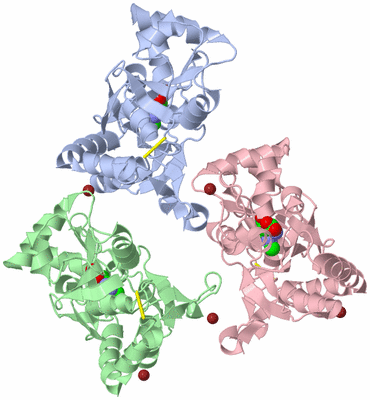 Image Biological Unit 3