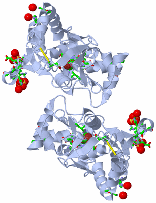 Image Biol. Unit 1 - sites