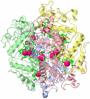 Image Biol. Unit 1 - sites