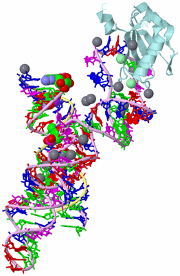 Image Biological Unit 1