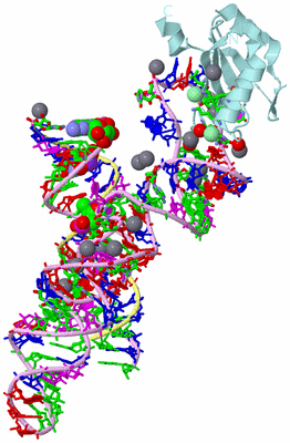 Image Biol. Unit 1 - sites