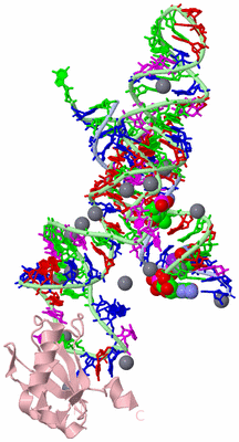 Image Biological Unit 2