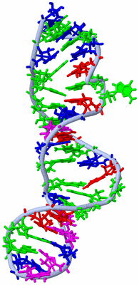 Image NMR Structure - model 1