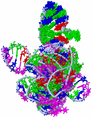 Image NMR Structure - all models