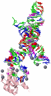 Image Biological Unit 1