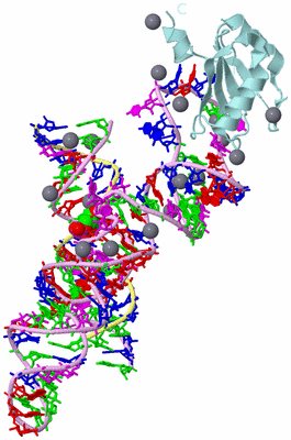 Image Biological Unit 2