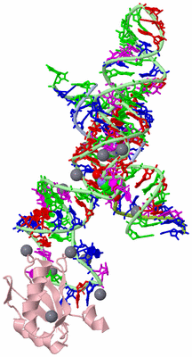 Image Biological Unit 1