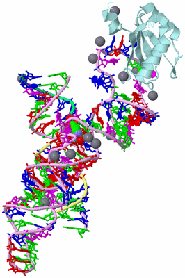 Image Biological Unit 2