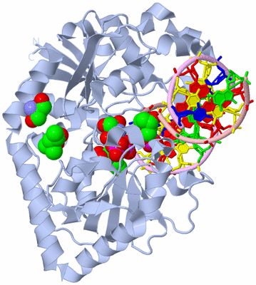 Image Biological Unit 1