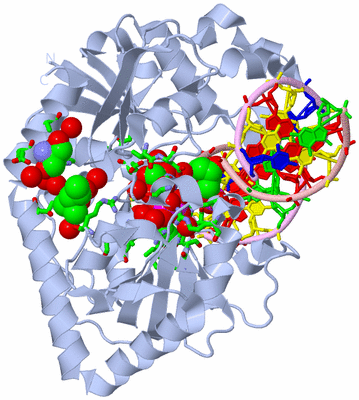 Image Biol. Unit 1 - sites