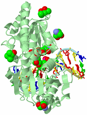 Image Biological Unit 2