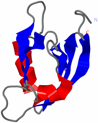 Image NMR Structure - model 1