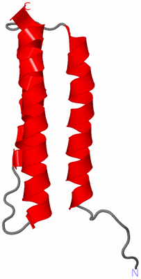 Image NMR Structure - model 1