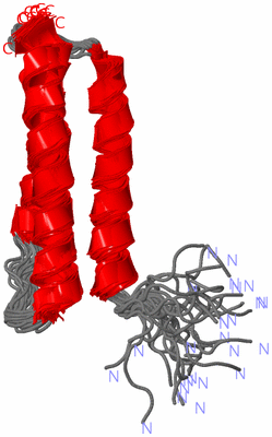 Image NMR Structure - all models