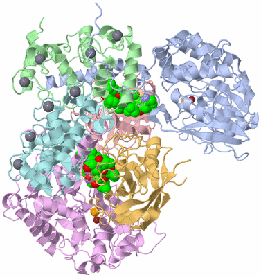 Image Asym./Biol. Unit