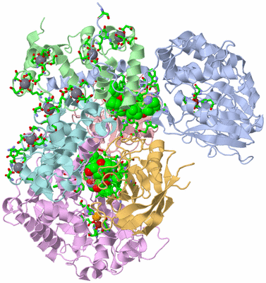 Image Asym./Biol. Unit - sites