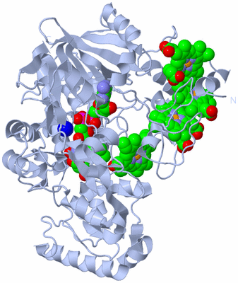 Image Biological Unit 1