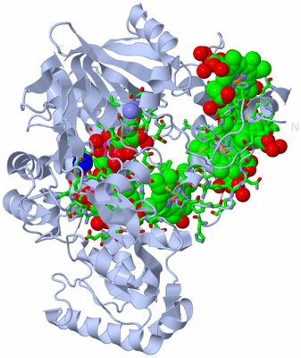 Image Biol. Unit 1 - sites