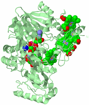 Image Biological Unit 2