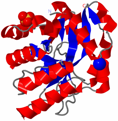 Image Asymmetric Unit