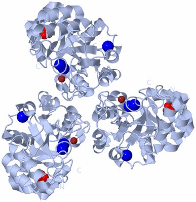 Image Biological Unit 1