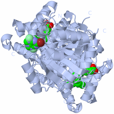 Image Biological Unit 1