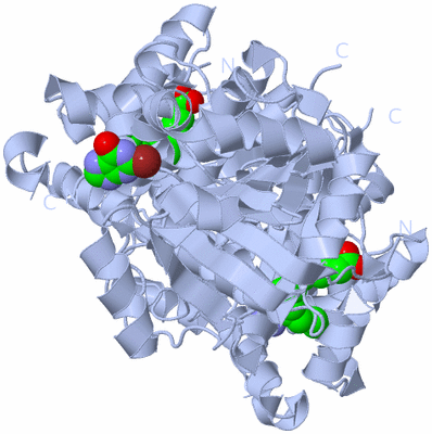 Image Biological Unit 1