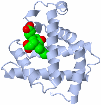 Image Biological Unit 1