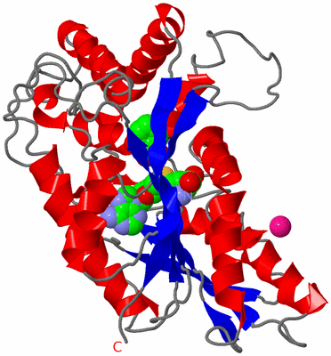 Image Asymmetric Unit