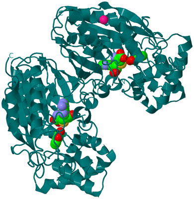 Image Biological Unit 1