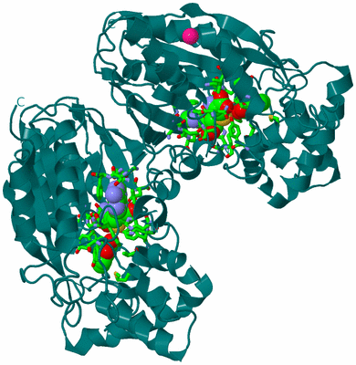 Image Biol. Unit 1 - sites
