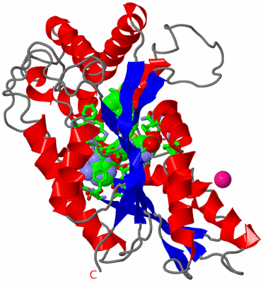 Image Asym. Unit - sites
