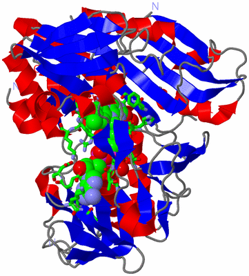 Image Asym./Biol. Unit - sites