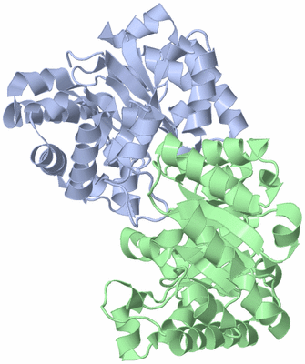 Image Asym./Biol. Unit