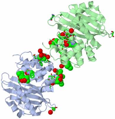 Image Asym./Biol. Unit - sites