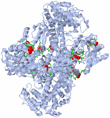 Image Biol. Unit 1 - sites