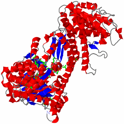 Image Asym. Unit - sites