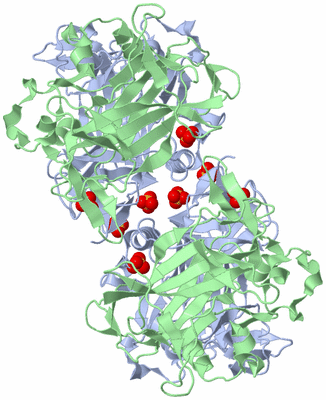 Image Biological Unit 3
